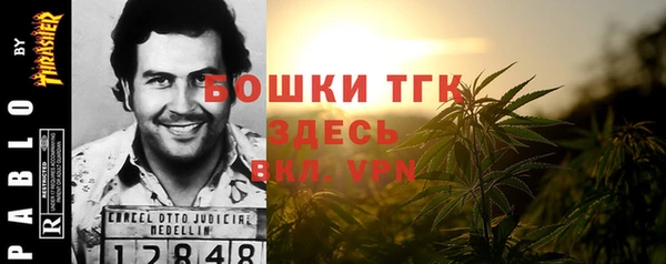 прущие грибы Армянск