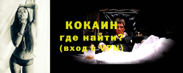 прущие грибы Армянск