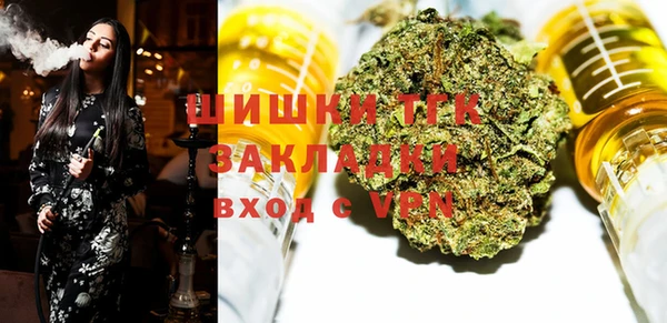 прущие грибы Армянск