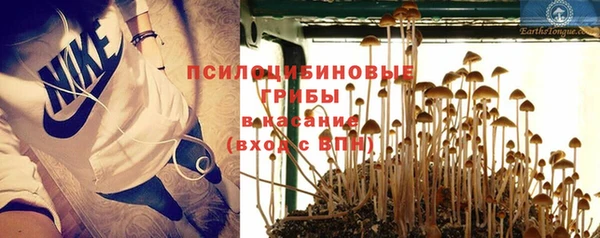таблы Аркадак