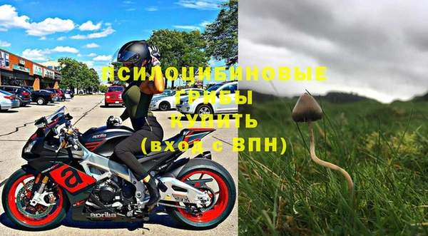 прущие грибы Армянск