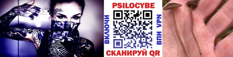 это клад  omg ССЫЛКА  Тара  Псилоцибиновые грибы MAGIC MUSHROOMS 